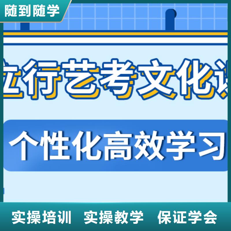 艺考文化课艺考生一对一补习师资力量强