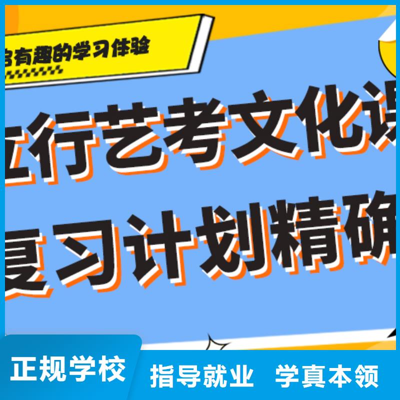 艺考文化课【编导文化课培训】理论+实操