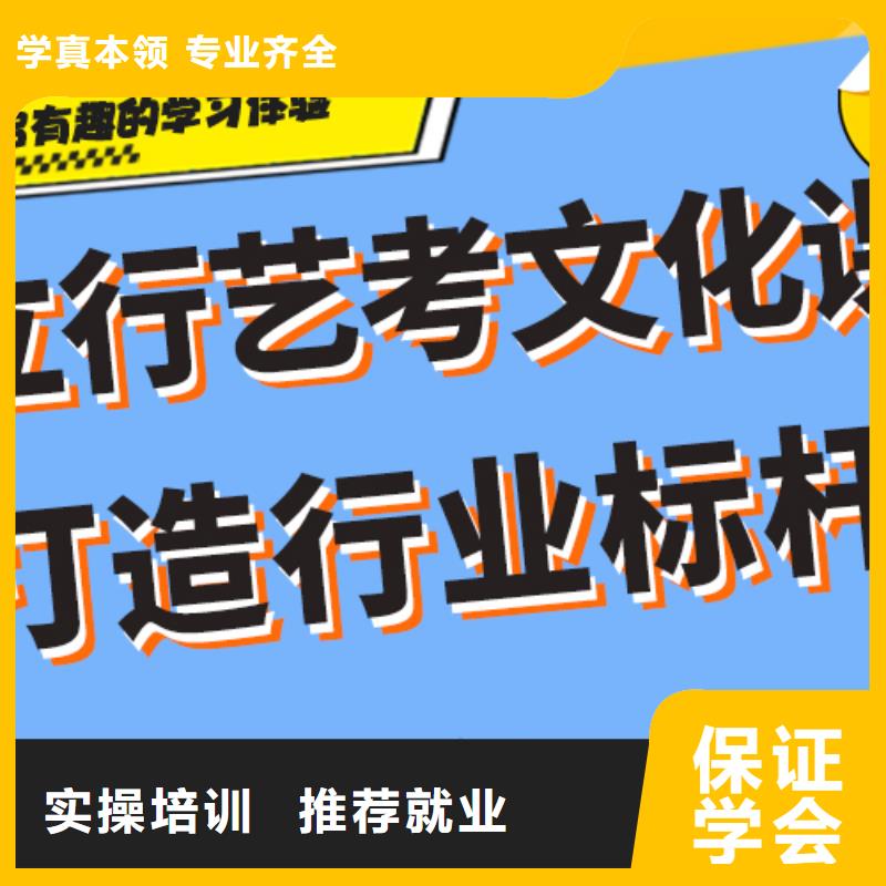 艺考文化课艺考生一对一补习师资力量强