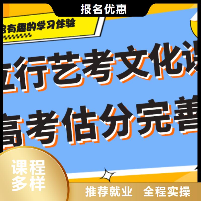 艺考文化课【编导文化课培训】理论+实操