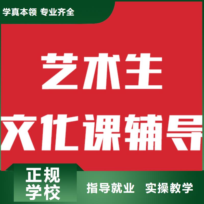 艺考文化课培训艺考一对一教学指导就业