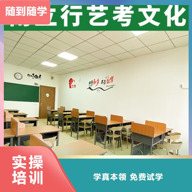 艺考生文化课【艺考培训】老师专业