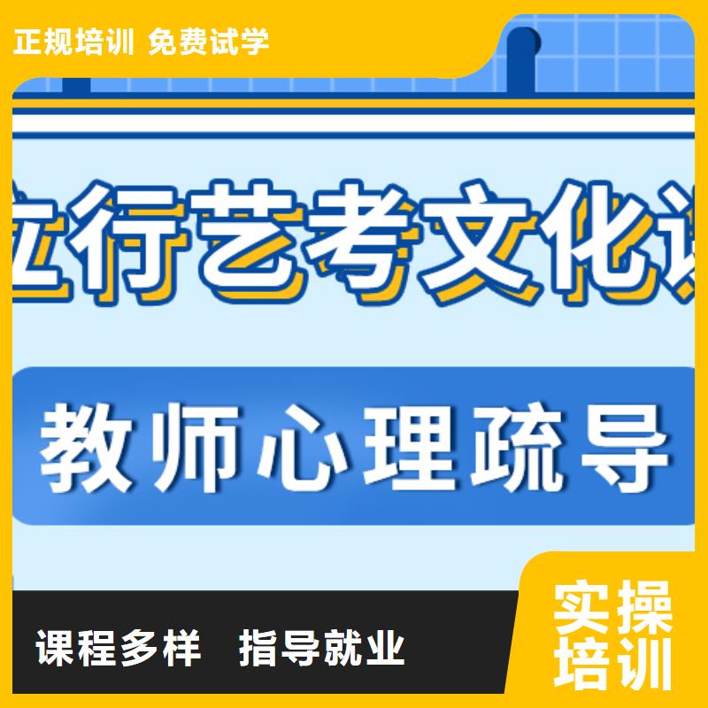 艺考生文化课,高考补习学校理论+实操