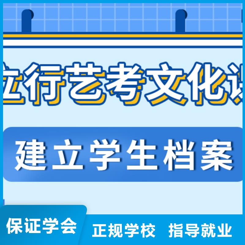 艺考生文化课【艺考培训】老师专业