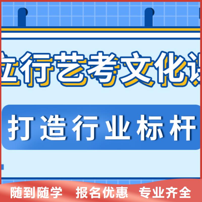 艺考生文化课【艺考培训】老师专业