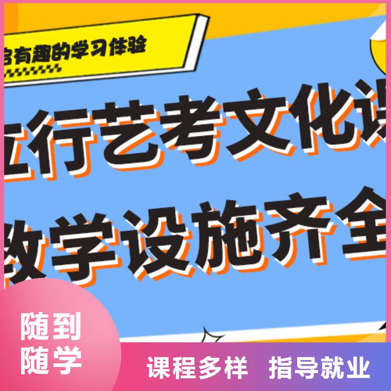 艺考文化课【【舞蹈艺考培训】】学真技术