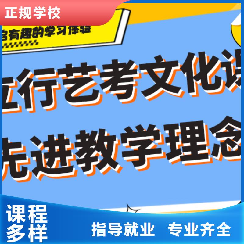 藝考文化課舞蹈藝考培訓(xùn)學(xué)真技術(shù)