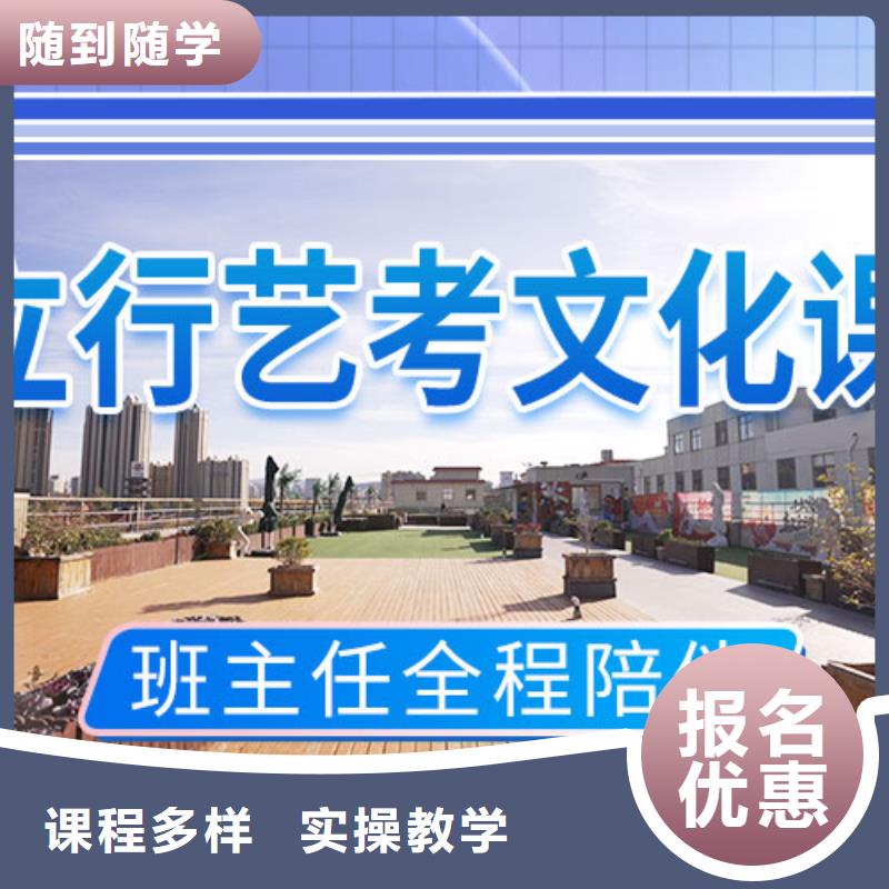 艺考文化课高考冲刺补习学真技术