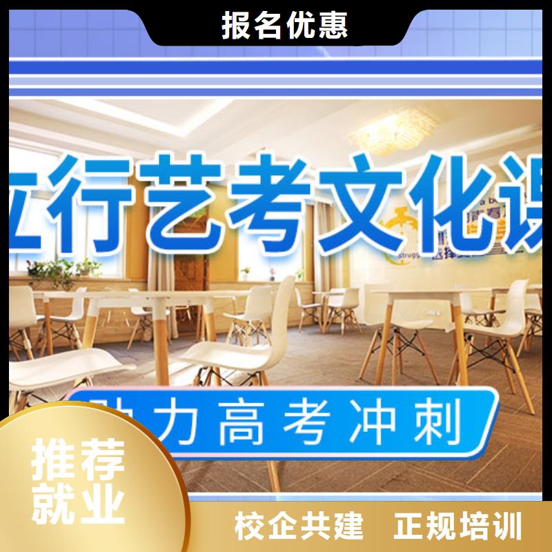藝考文化課舞蹈藝考培訓(xùn)學(xué)真技術(shù)