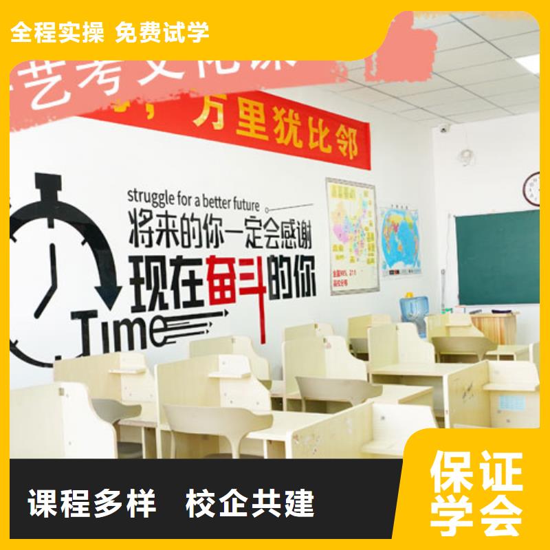 艺考文化课【【舞蹈艺考培训】】学真技术