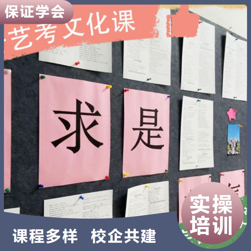 艺考文化课高考语文辅导就业不担心