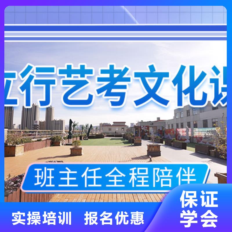 艺考生文化课冲刺-高考补习班课程多样