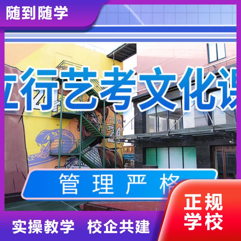 艺考生文化课冲刺高考复读清北班课程多样