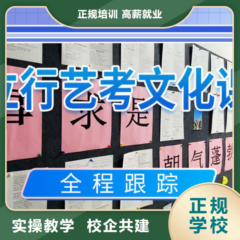 艺考生文化课冲刺-高考补习班课程多样