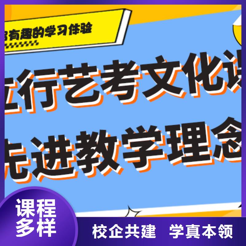 艺考生文化课冲刺高考复读周六班理论+实操