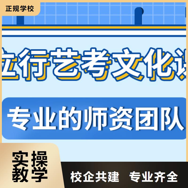 艺考生文化课冲刺高考复读周六班理论+实操