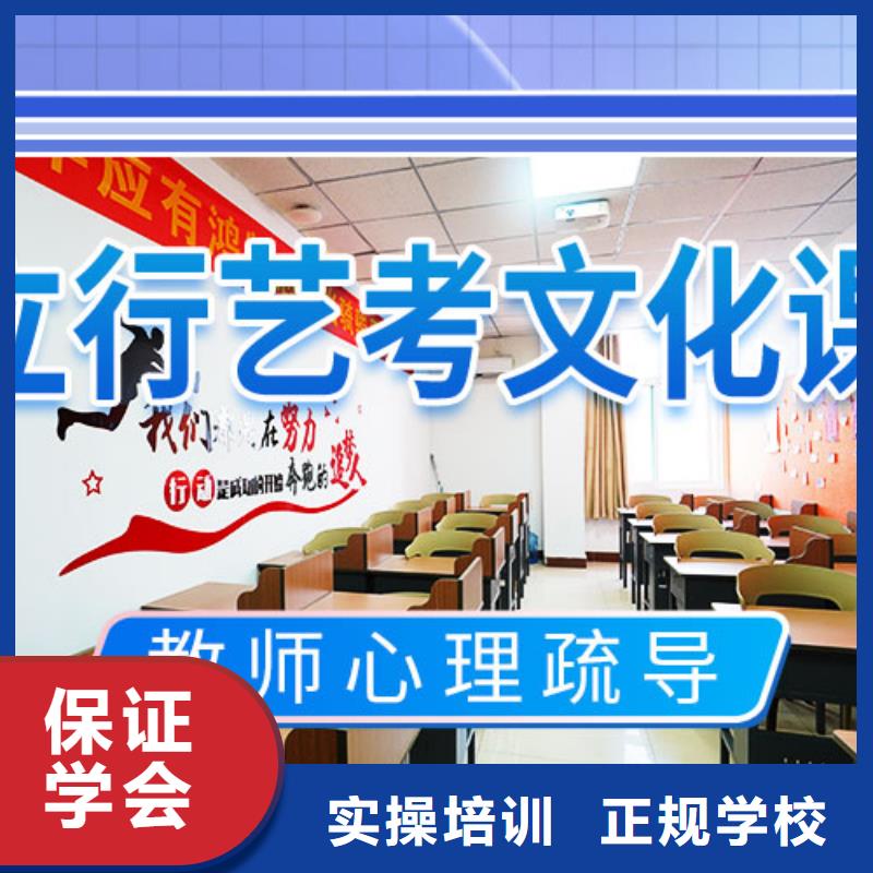 艺考文化课集训班艺考文化课培训理论+实操