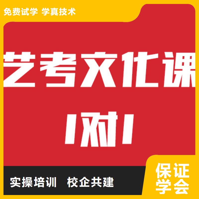 艺考文化课机构【艺术专业日常训练】正规学校