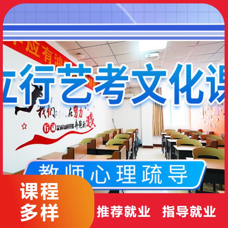 艺考文化课辅导【高考冲刺班】理论+实操