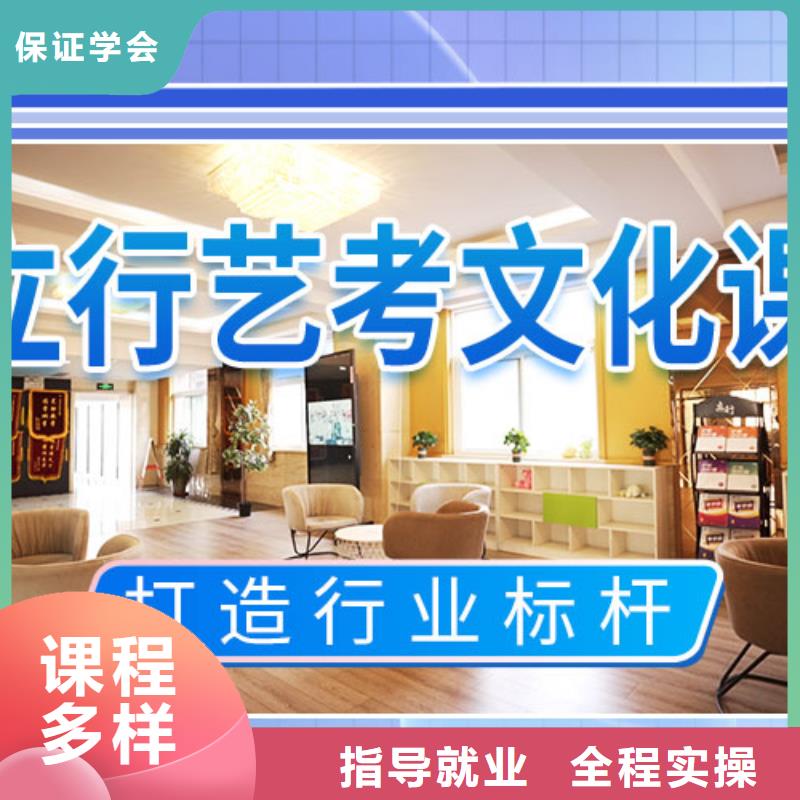 艺考文化课辅导【高考冲刺班】理论+实操