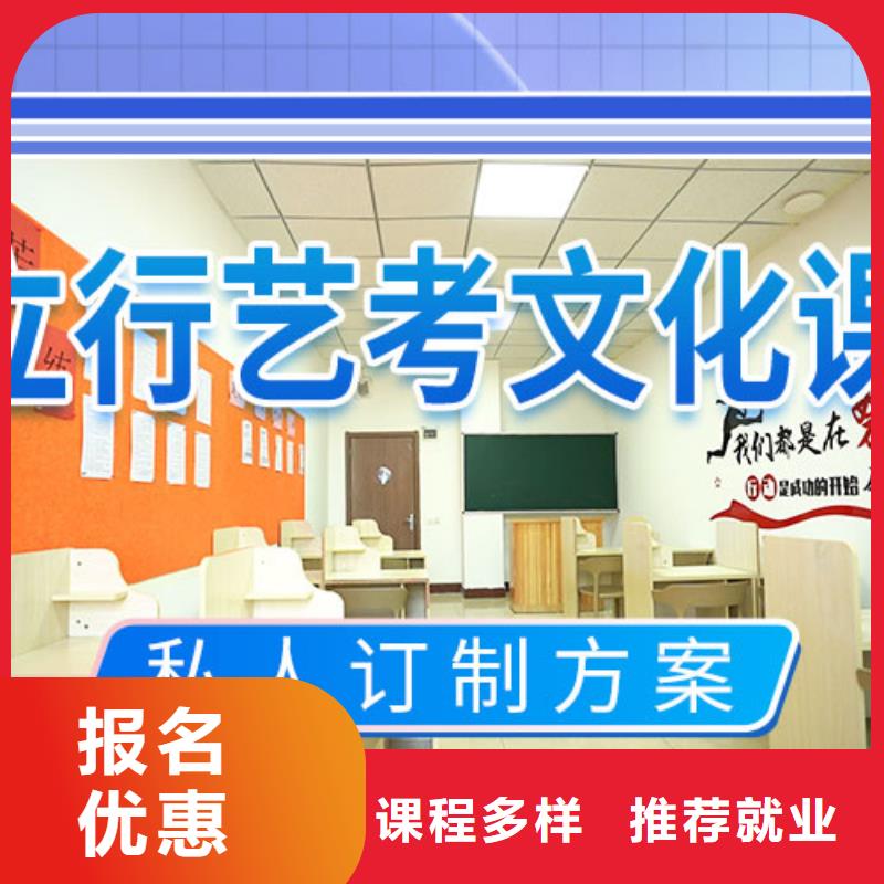 藝考文化課補(bǔ)習(xí)藝考學(xué)真技術(shù)