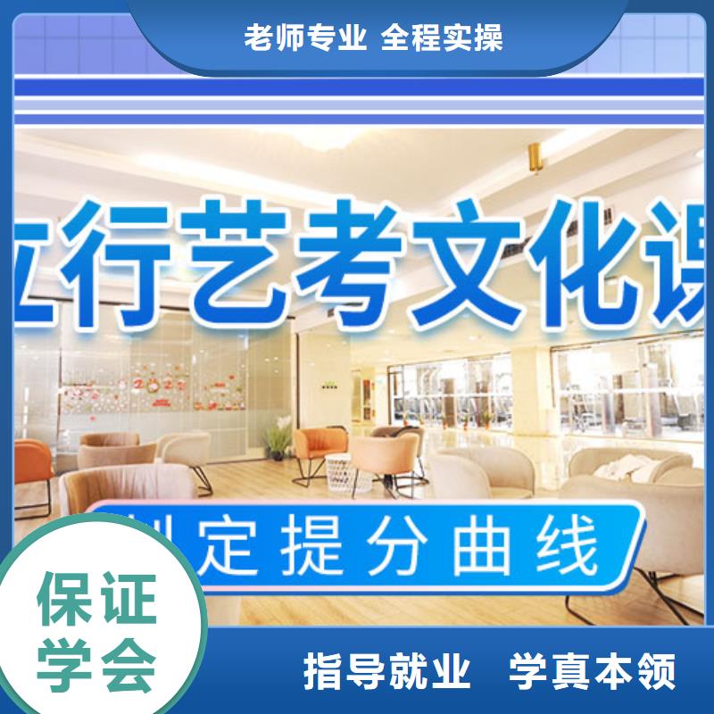 艺考文化课补习艺考复读清北班随到随学