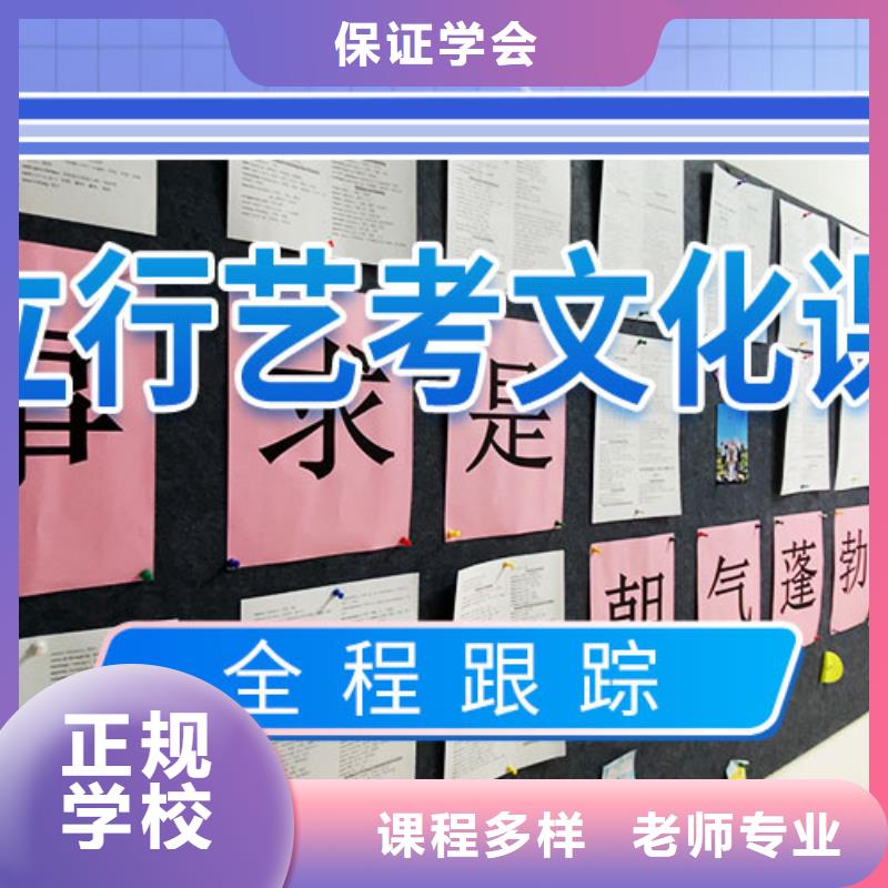艺考文化课补习【高考复读清北班】手把手教学