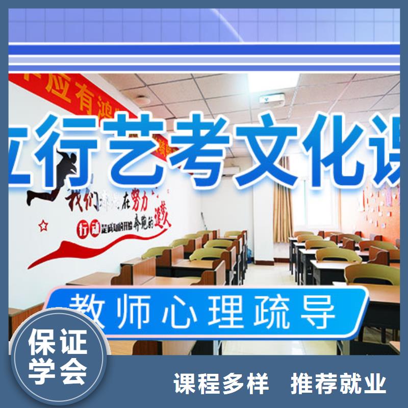艺考文化课补习艺考文化课冲刺班理论+实操