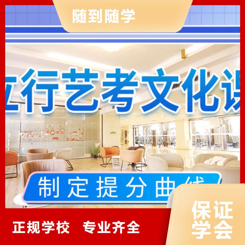 艺考文化课集训高考书法培训手把手教学