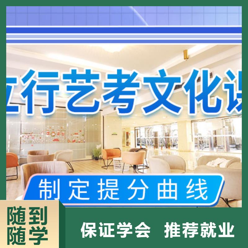藝考文化課集訓(xùn)美術(shù)生文化課培訓(xùn)學(xué)真技術(shù)