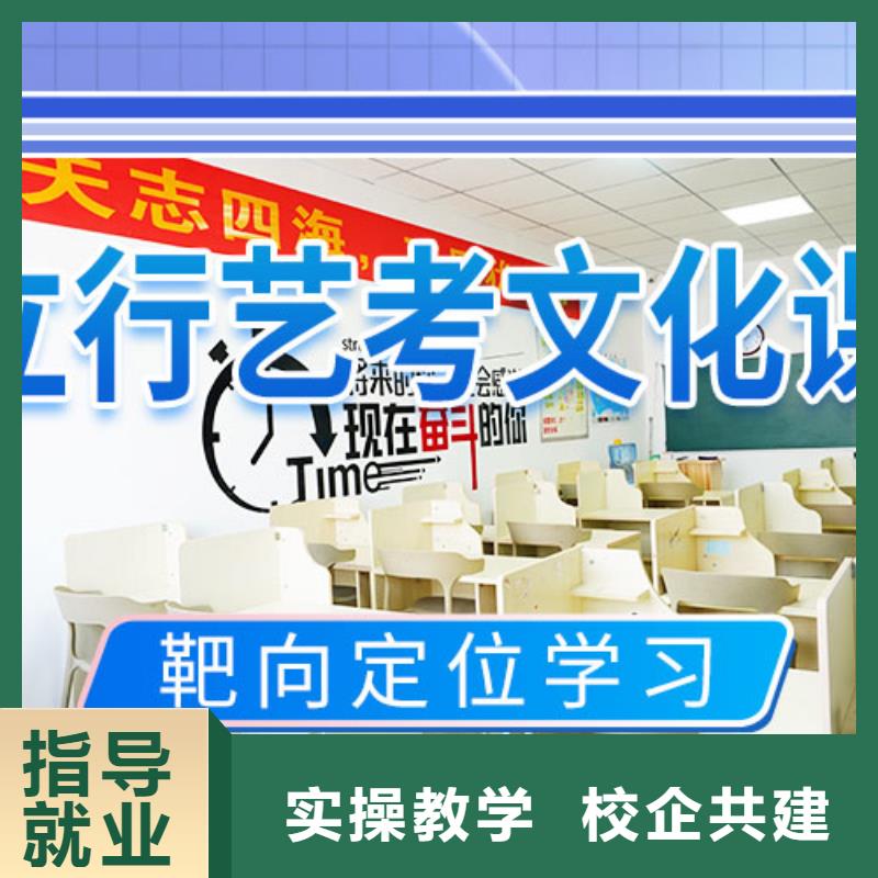艺考文化课集训高考书法培训手把手教学