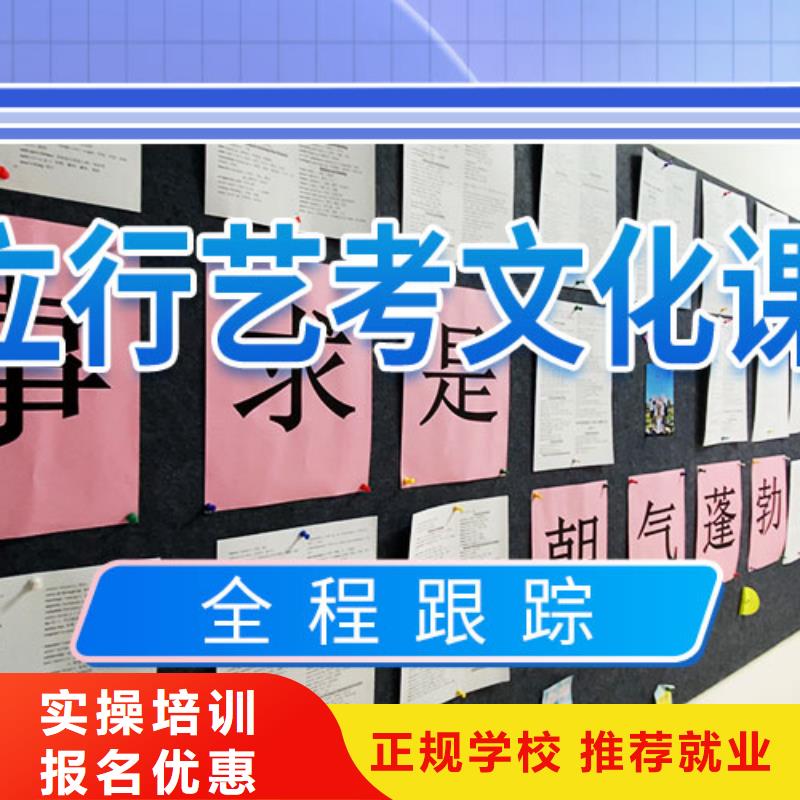 艺考文化课集训高考书法培训手把手教学