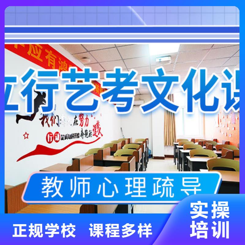 艺考文化课集训高考书法培训手把手教学