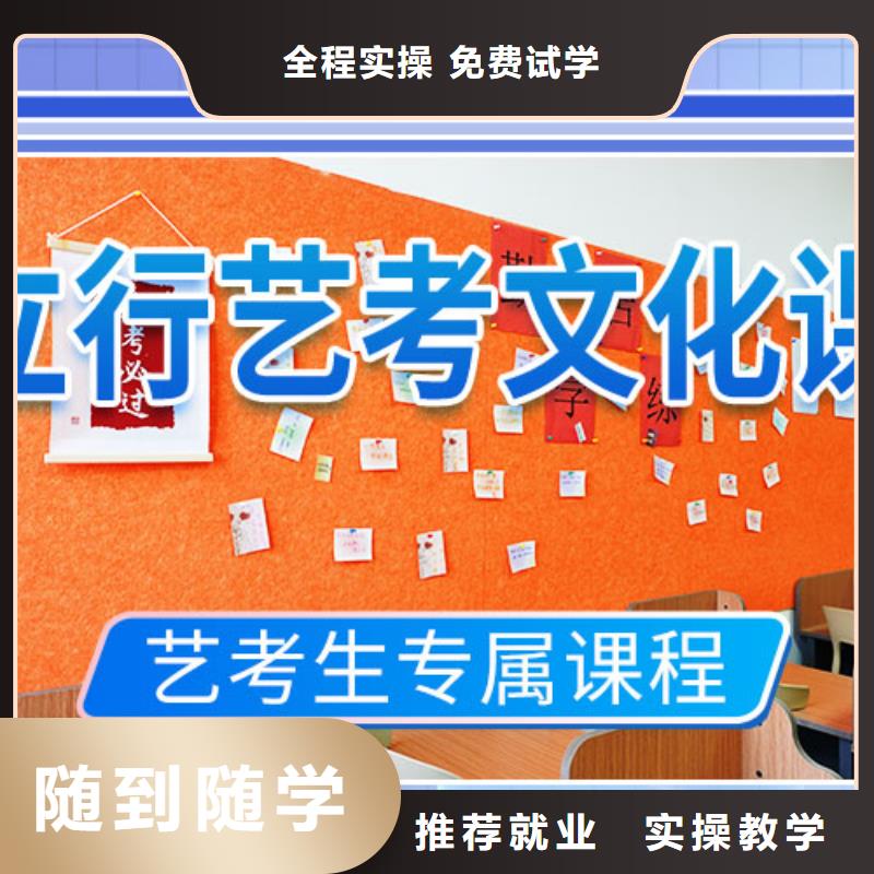 艺考文化课集训高考书法培训手把手教学