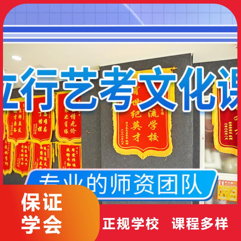 艺考文化课培训学真技术本地生产厂家