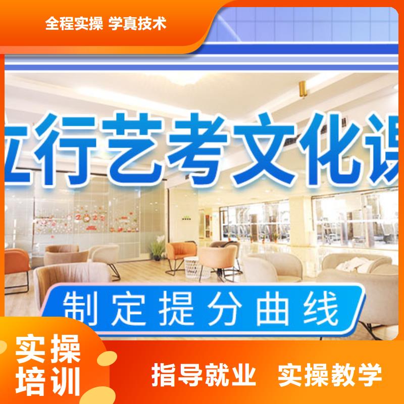艺考文化课培训【高考小班教学】手把手教学