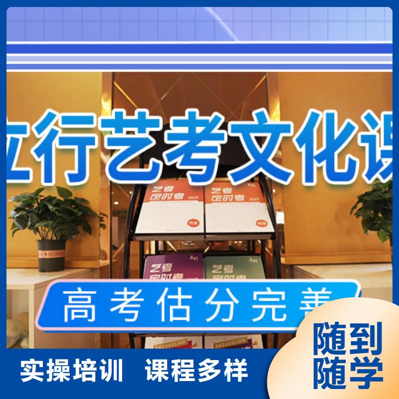 艺考文化课培训学真技术本地生产厂家