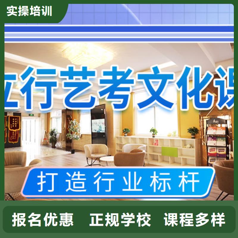艺考文化课培训学真技术本地生产厂家
