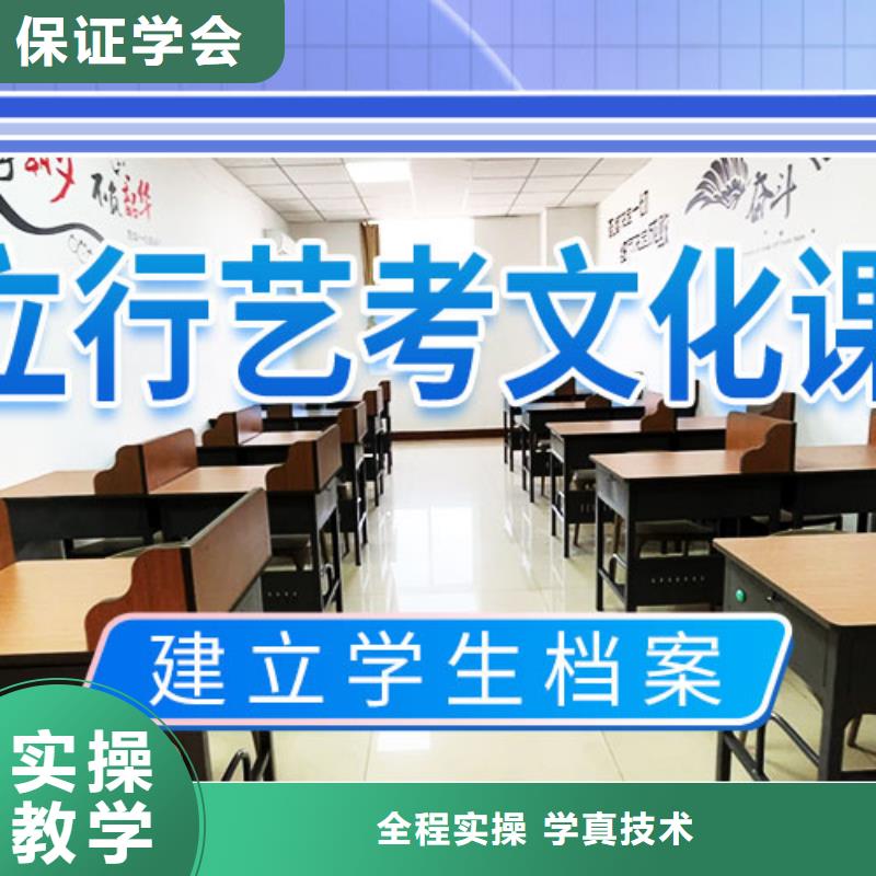 艺考文化课培训【高考小班教学】手把手教学