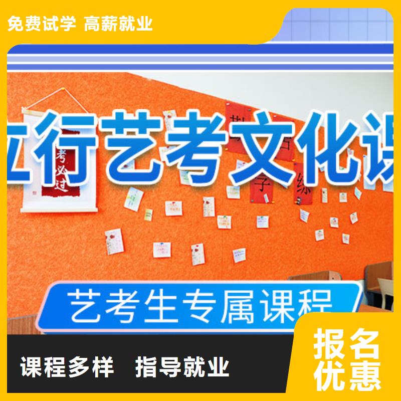 艺考文化课培训【高考小班教学】手把手教学