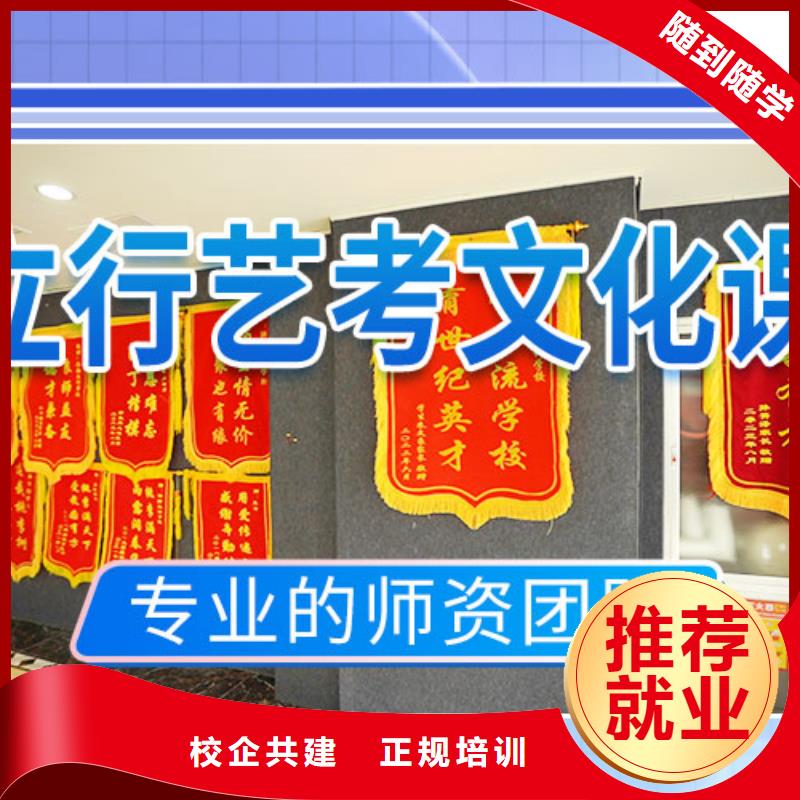 艺考文化课冲刺高考语文辅导就业