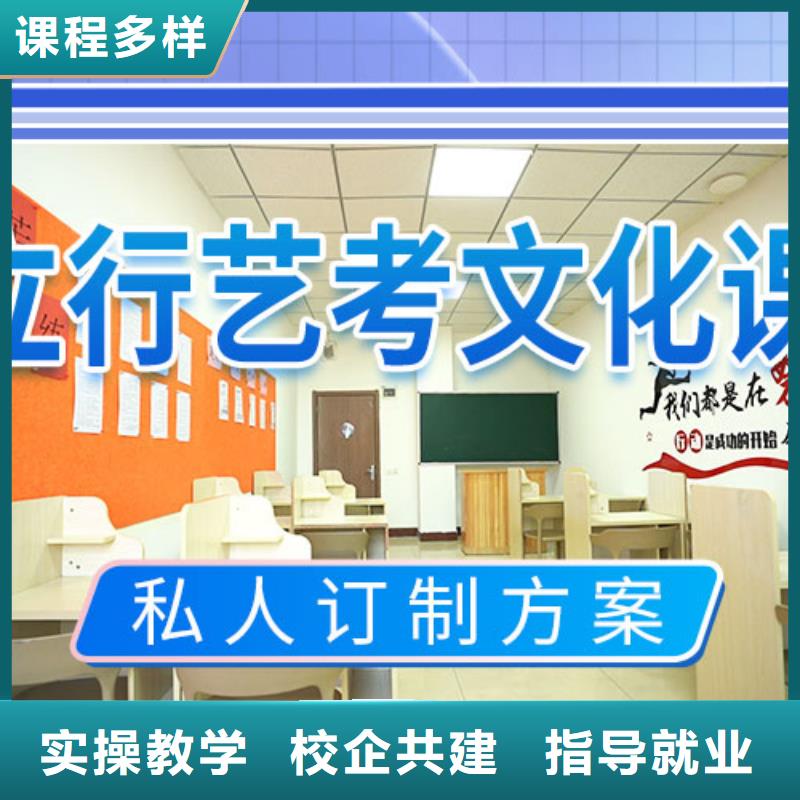 藝考文化課沖刺高考書(shū)法培訓(xùn)手把手教學(xué)