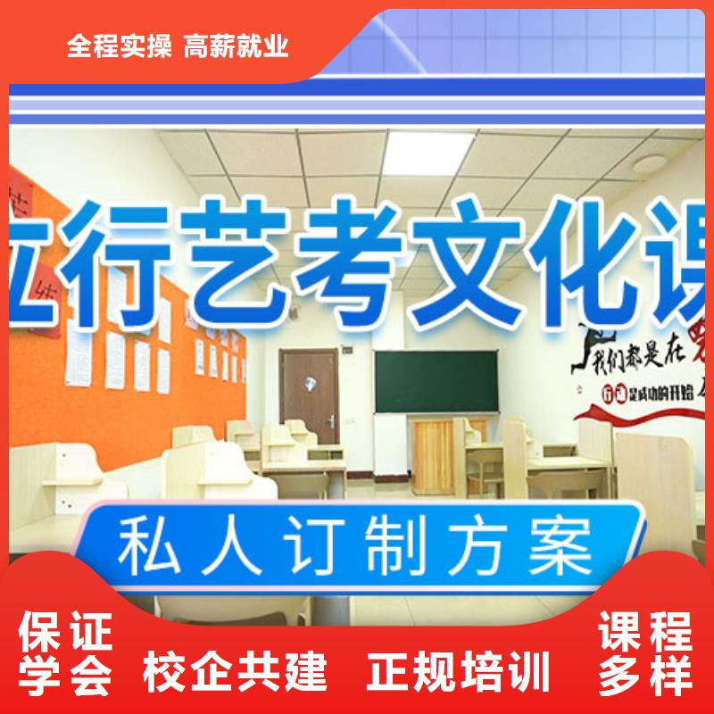 藝考文化課沖刺高中一對一輔導(dǎo)就業(yè)