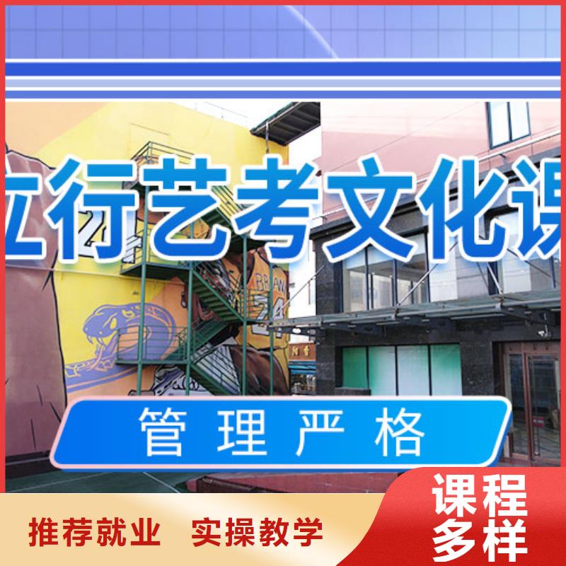 艺考文化课冲刺艺考复读清北班就业不担心