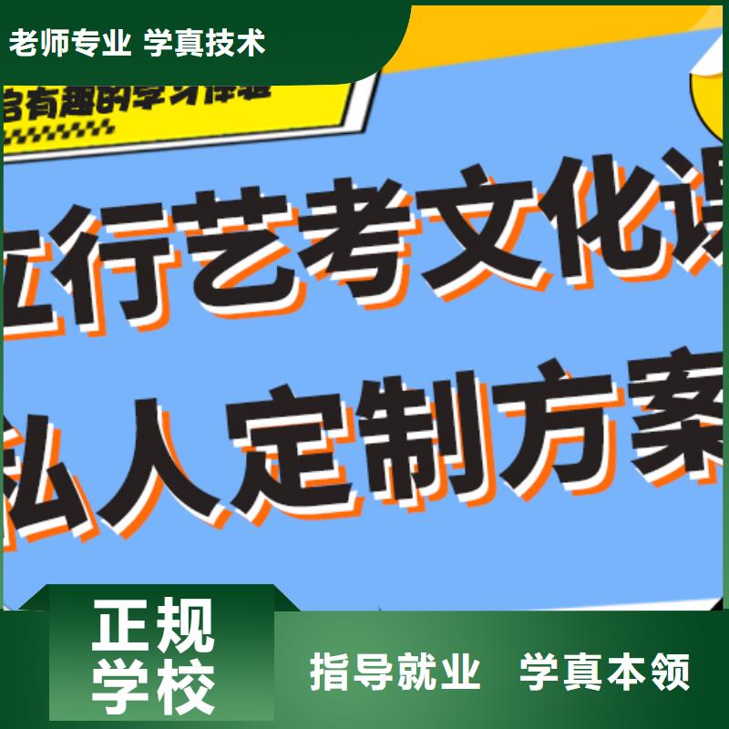 山东枣庄批发艺术生文化课集训冲刺哪里好