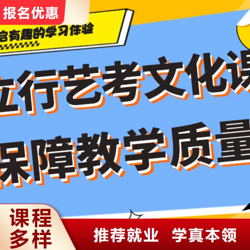 艺考生文化课培训补习哪个好快速夯实基础