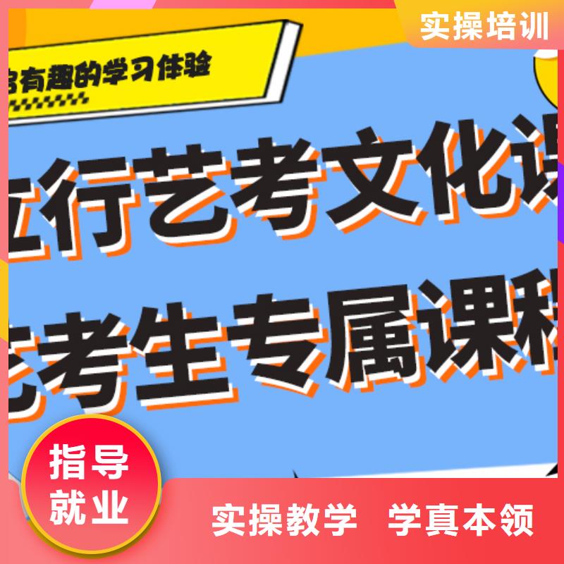 艺术生文化课辅导集训排行艺考生文化课专用教材