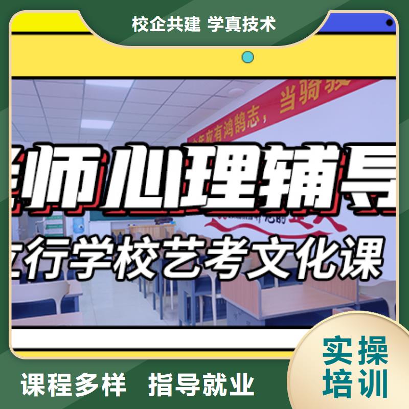 藝考文化課輔導(dǎo)班高考英語輔導(dǎo)理論+實操