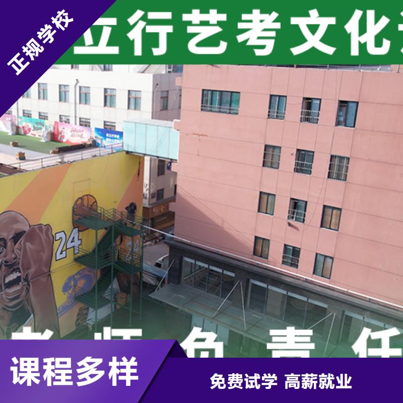 价格艺考生文化课培训学校定制专属课程