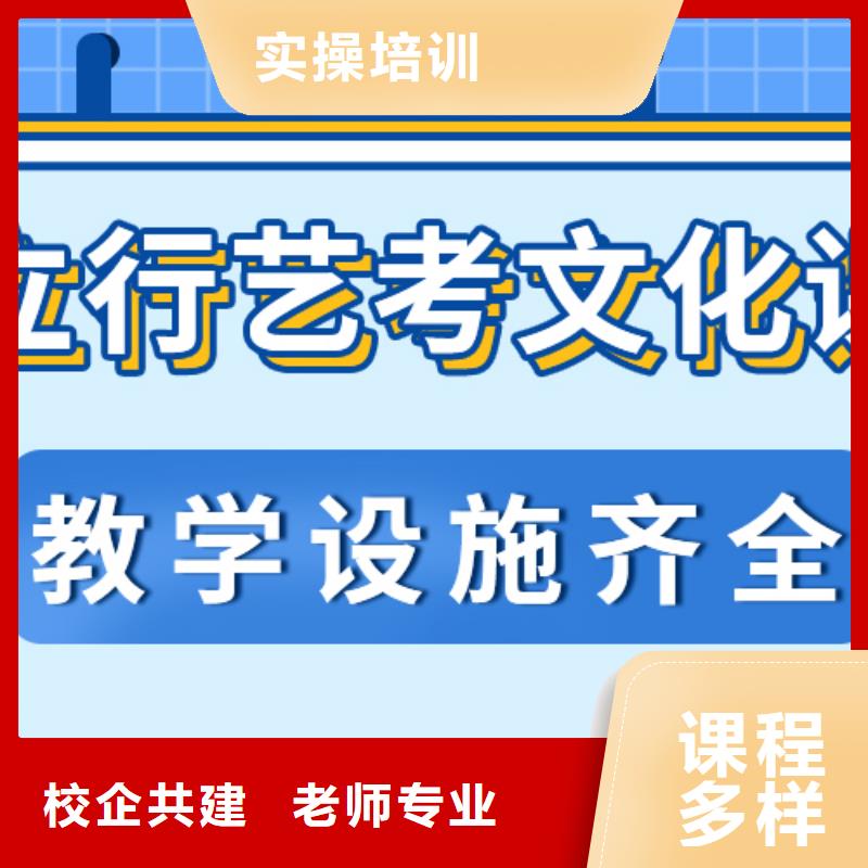 艺术生文化课培训补习哪个好艺考生文化课专用教材